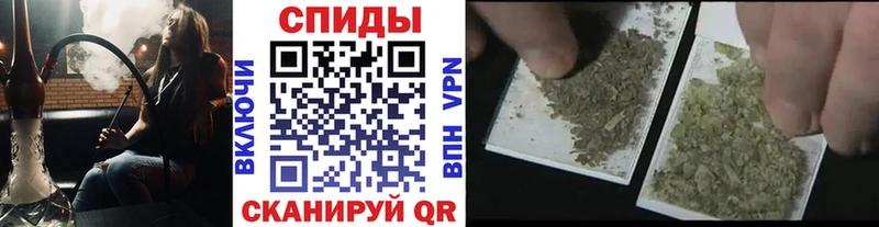 Бутират бутандиол  как найти наркотики  blacksprut как зайти  Луза 
