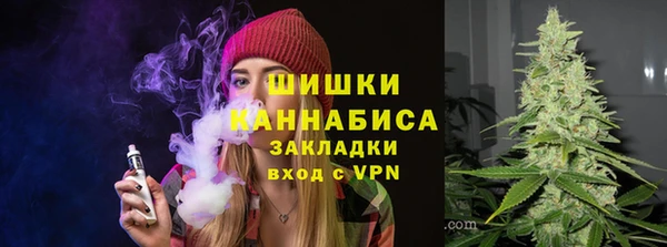 шишки Алзамай