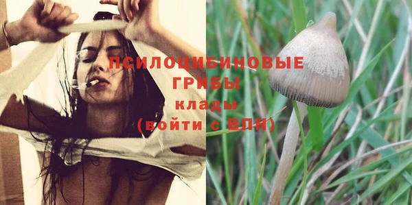 шишки Алзамай