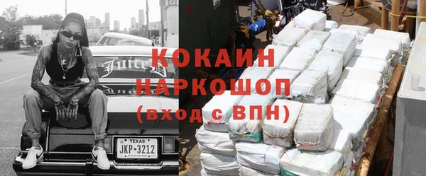 шишки Алзамай
