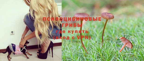 круглые Алексеевка