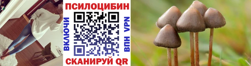 цена наркотик  Луза  Псилоцибиновые грибы прущие грибы 