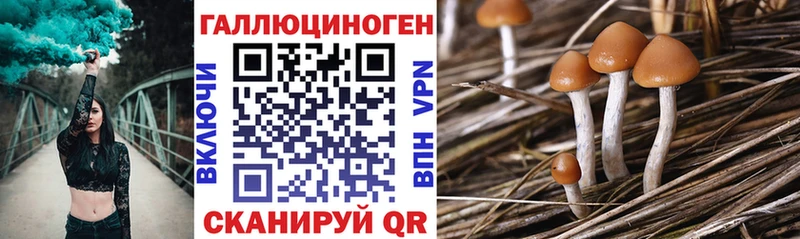 Галлюциногенные грибы прущие грибы Луза